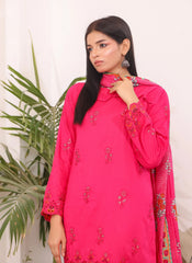 Luxury Embroidered Chicken Kari 3-Piece
